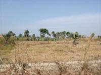 PLOT OF LAND FOR SALE AT OLD YUNDUM 20 X 25 METERS FOR D750,000