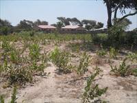 EMPTY LAND FOR SALE AT SALAGI 20 X 20 METERS FEW METERS FROM THE HIGHWAY