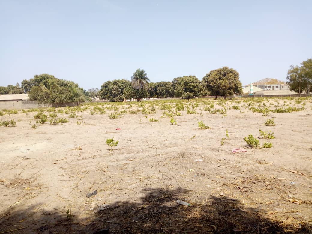 empty land for sale in Gunjur 20 x 25 for D200,000