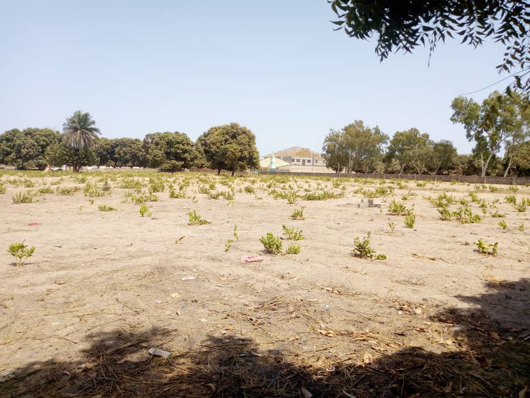 empty plots of land for sale in brufut 15 x 30 meters not far from the electricity and the price is D400,000