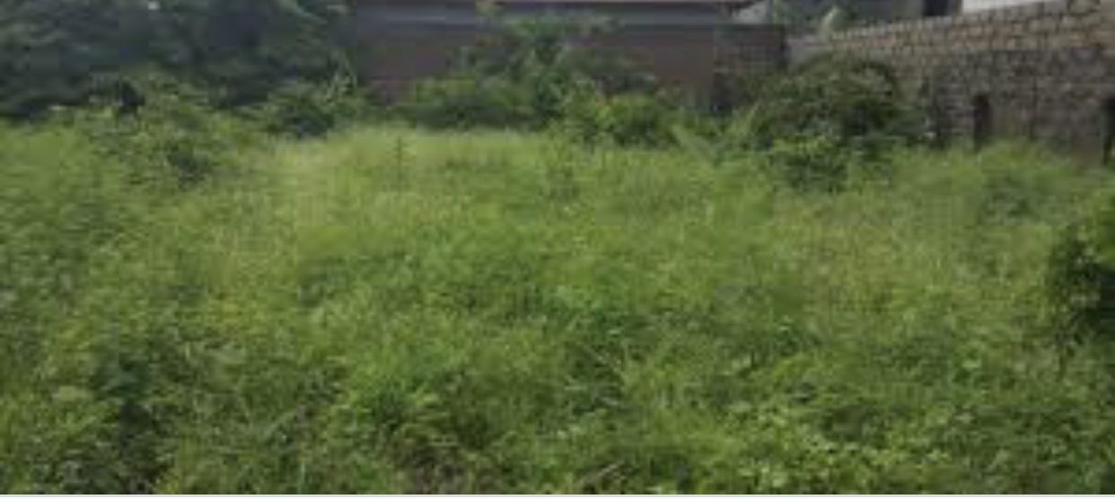 Empty plot of land for sale in manjai 17 x 39 meters close to the highway