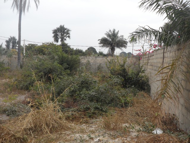 EMPTY LAND FOR SALE AT FAJARA 30 X 30 METERS FOR D6.5MILLION