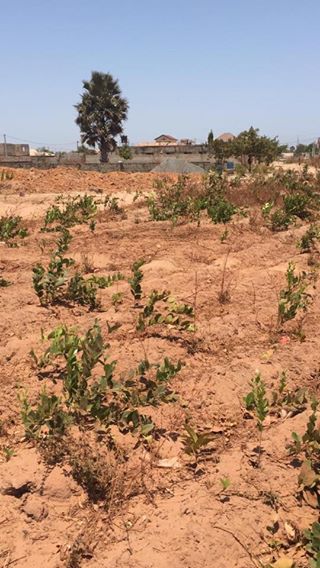 EMPTY LAND FOR SALE AT SALAGI D500,000