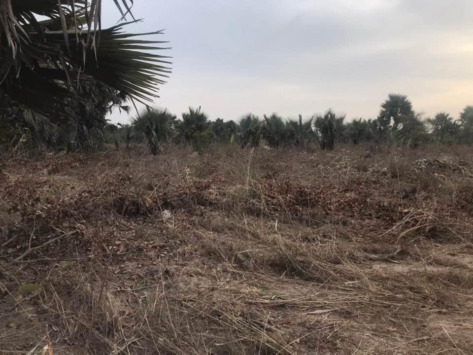 100 x 100 empty plots of land for sale at Sanyang seaview D1.7million with negotiation call or whatsapp 002203997772