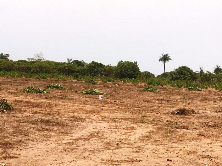 20 X 20 METERS EMPTY LAND FOR SALE AT SANYANG SEAVIEW GARDEN CASH PRICE D350,000 AND INSTALLMENT OF ONE YEAR D400,000