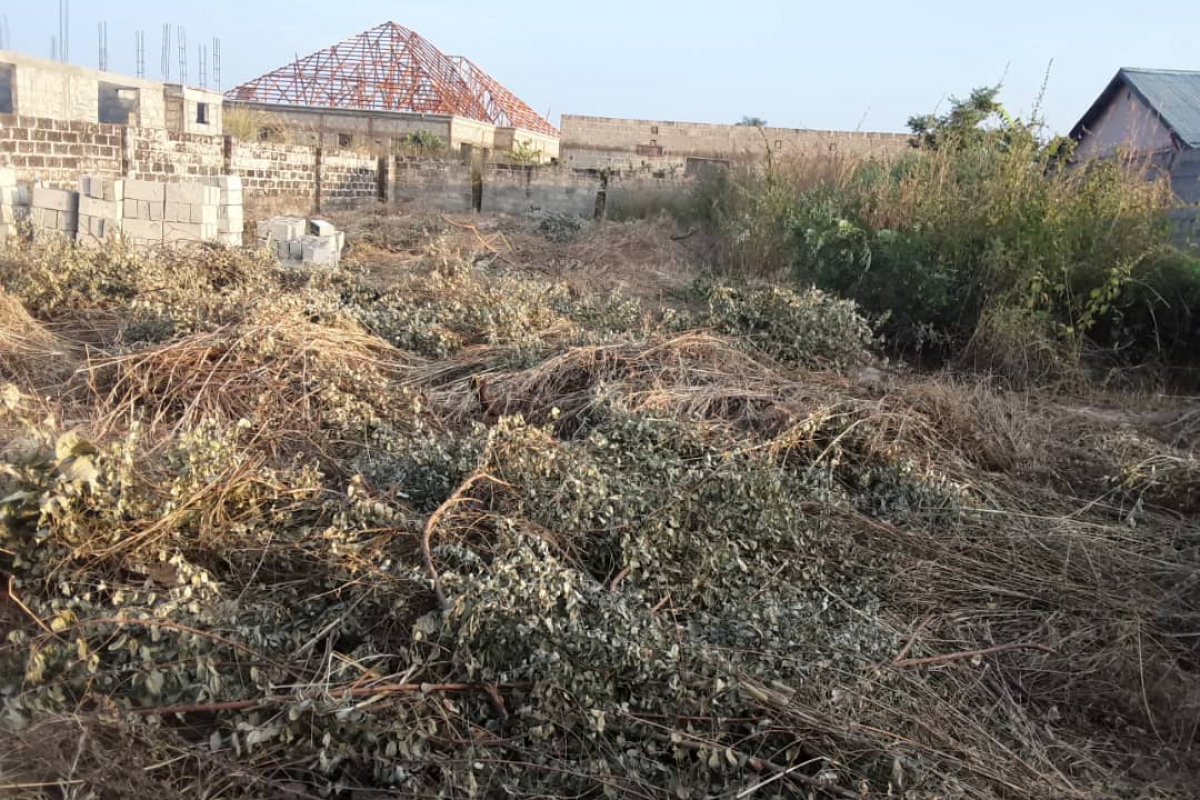 EMPTY LANDS FOR SALE AT VARIOUS LOCATIONS WITHIN THE GAMBIA