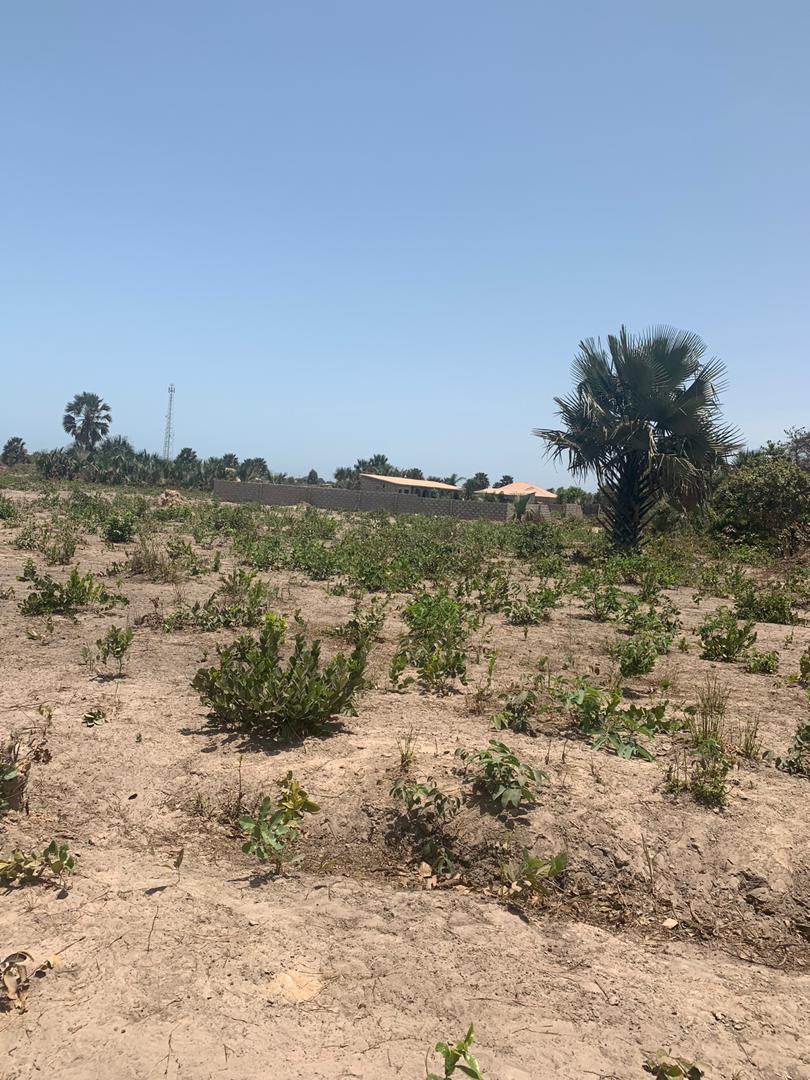 EMPTY LAND FOR SALE AT SALAGI 200 METERS FROM THE HIGHWAY SIZE IS  29 x 27 x 25 x 15 METERS  PRICE IS D650,000