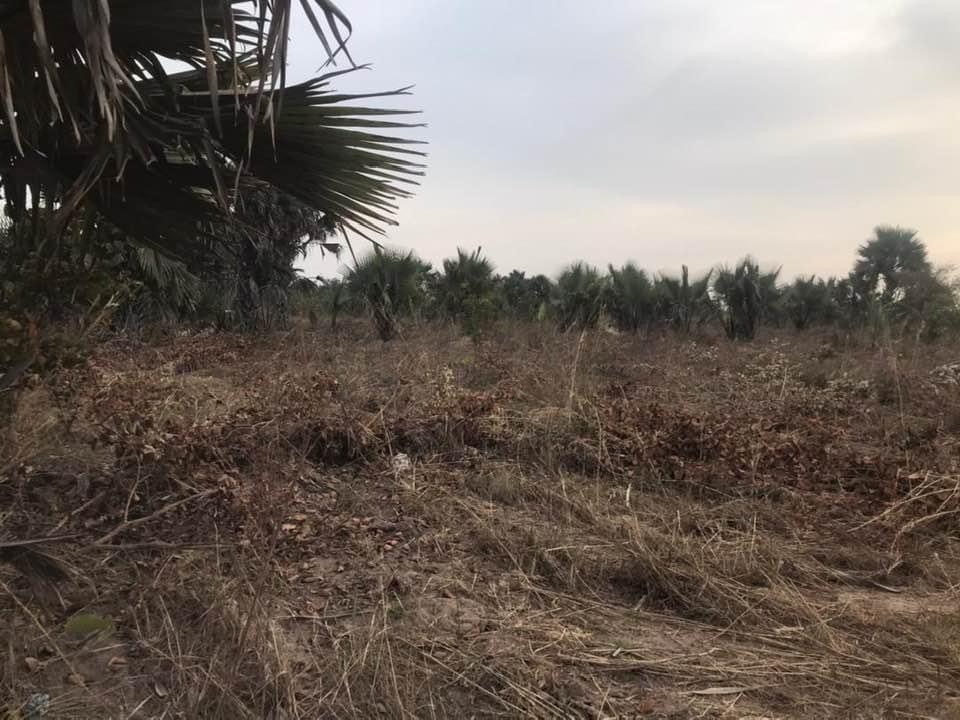 Empty land for sale at sanyang 20 x 20 meters few meters from the higway for D250,000