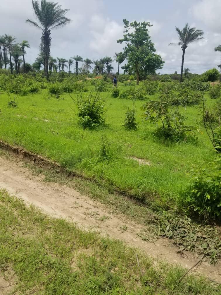 Empty land for sale at sanyang few meters from the highway 