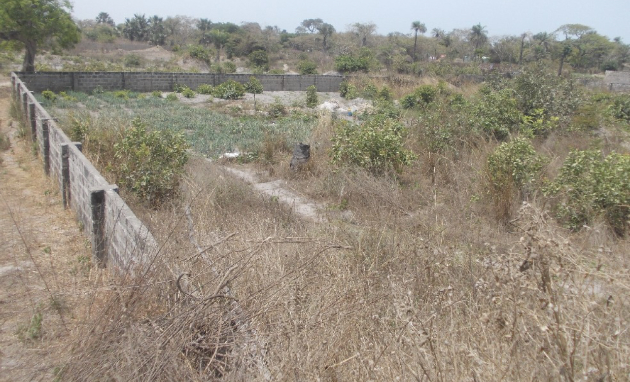 seaview land of 20 x 20 meters for sale at sanyang with water and electricity